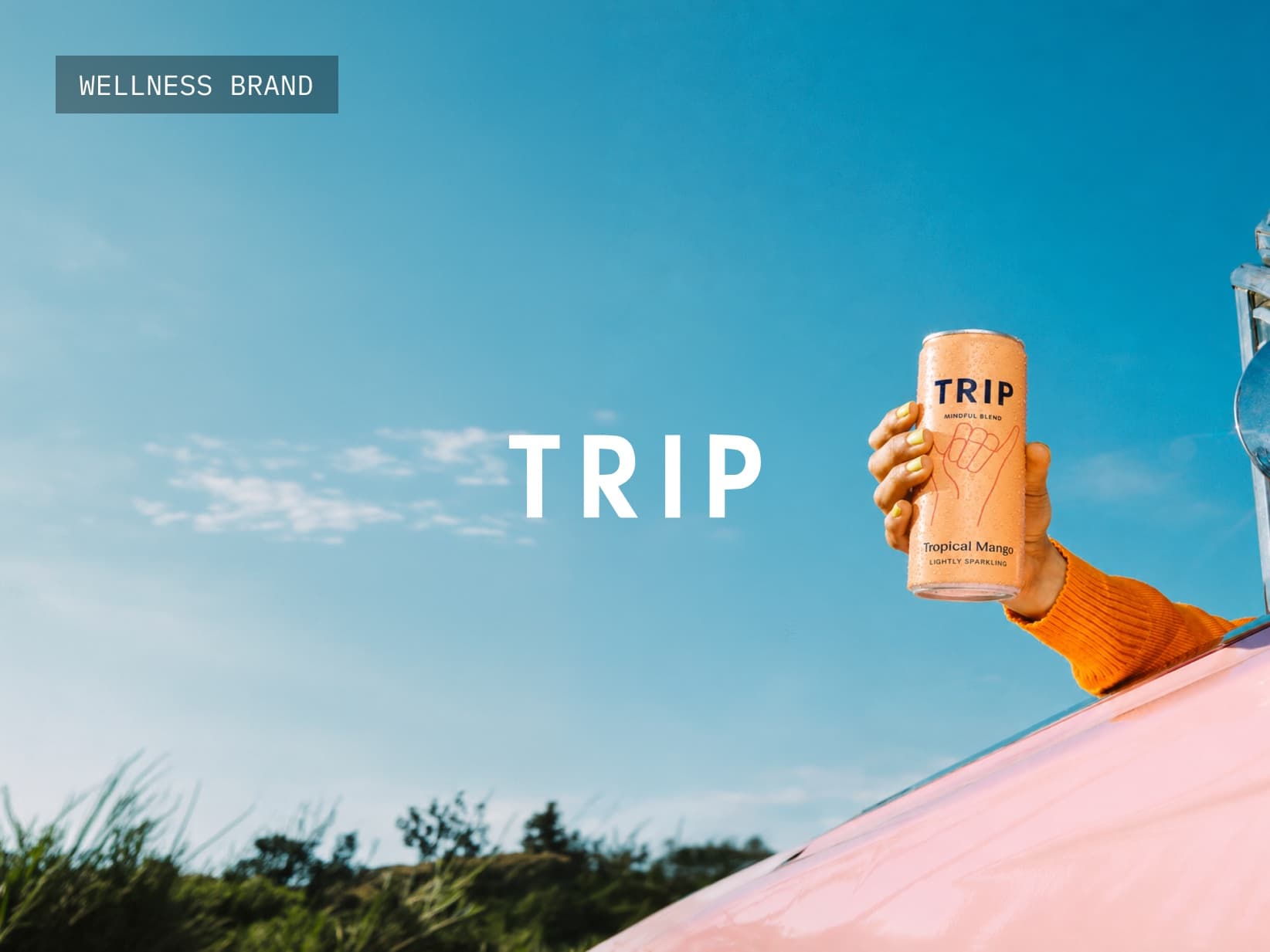 TRIP Drinks case study