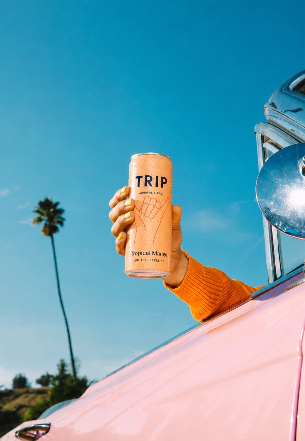 TRIP Drinks